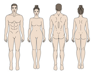 Sticker - Man and Woman body front and back view vector illustration. Isolated outline line contour template human body different gender without clothes. Anatomy of healthy male and female body shapes. Figure