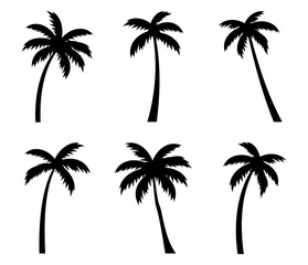 Wall Mural - Palm tree silhouette. palm trees set. Vector illustration