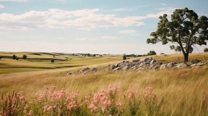 Canvas Print - Serene meadow stretching into distance.