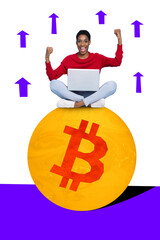 Sticker - Trend artwork composite sketch image 3D photo collage of young lady work laptop sit on huge bitcoin trader celebrate success achieve