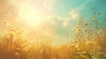 Wall Mural - wildflowers in field under bright, sunlit sky with warm tones
