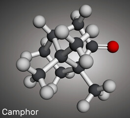 Sticker - Camphor molecule. It is terpenoid and a cyclic ketone. Molecular model. 3D rendering.