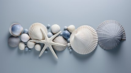 Wall Mural - seashells blue grey backgrounds