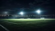 © vectorwin - night field lights