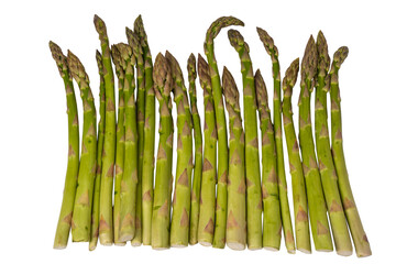 Wall Mural - Asparagus isolated on a white background.