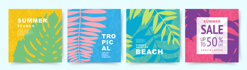 Wall Mural - summer backgrounds with tropical palm leaves. design templates in minimalist modern art style. jungl