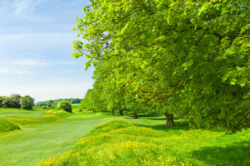 Canvas Print - View across the Westwood public parkland with wild flowers in spring in Beverley, Yorkshire, UK.