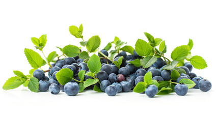 Sticker - A cluster of fresh blueberries with green leaves on white background, showcasing the ripe, plump berries and vibrant foliage.