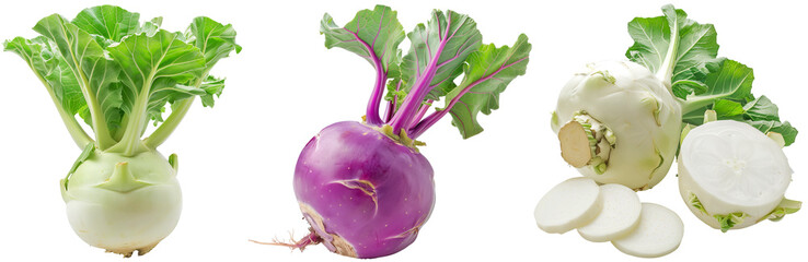 Wall Mural - Kohlrabi bundle, white and purple, isolated on a transparent background