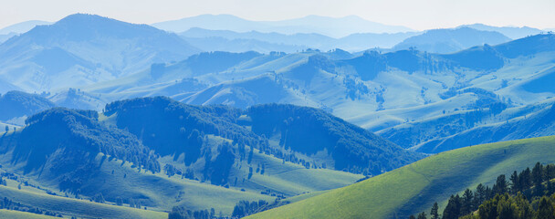 Sticker - Green meadows and forests, spring, evening light, hilly countryside, banner	