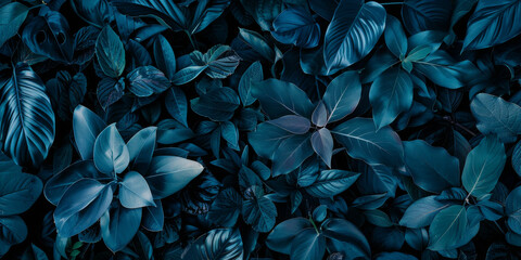 Wall Mural - A close up of a lush green plant with many leaves