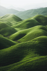 Wall Mural - Aerial view of rolling hills covered in lush grass, emphasizing the smooth, flowing lines and gentle curves of the landscape. 