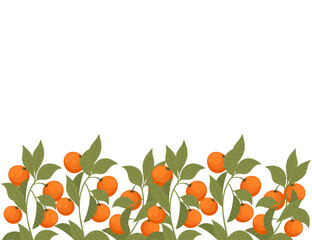 Wall Mural - Tasty tropic mandarin orange fruit citrus family with leaves vector illustration on white background