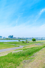 Wall Mural - 初夏に広がる青空・河川敷