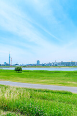 Wall Mural - 初夏に広がる青空・河川敷