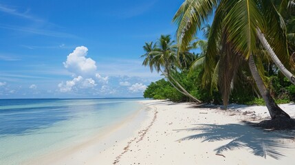 Wall Mural - Tropical white sand beach with many of palm tree and coconut trees at summer. Generated AI image