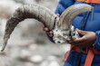 © Alexander Kozlovich/Stocksy - travel to Tibet