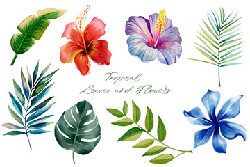 Watercolor tropical leaves and flowers. Set of exotic leaves. Palm leaves. Hand drawn floral illustration.