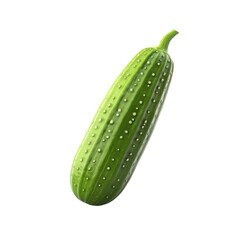 Wall Mural - A cucumber isolated on transparent background, png, cut out