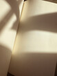 © Sonja Lekovic/Stocksy - Empty paper notebook page in sunlight