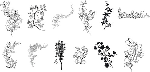 silhouette vines tropical plant drawing, Side view