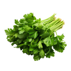 Sticker - A bunch of parsley isolated on transparent background, png, cut out