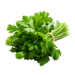 Wall Mural - A bunch of parsley isolated on transparent background, png, cut out