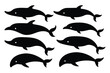 © mobarok8888 - set of Baleen whale black silhouette vector on white background