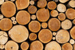 © Raymond Forbes LLC/Stocksy - Pile of Round Logs Background