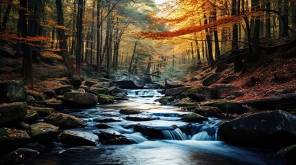 Poster - waterfall in the forest