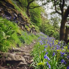 Poster - A path winds through a lush green forest with blue flowers