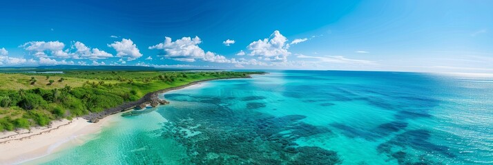 Wall Mural - A panoramic view of a coastline with pristine beaches, clear blue waters, and waves gently caressing the shore
