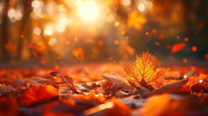 Describe a peaceful autumn equinox evening, with leaves changing color and a calm balance in the crisp air, Close up