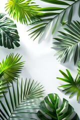 Wall Mural - Lush green tropical palm leaves arranged on a white background, casting natural shadows. Ideal for nature, botanical, and tropical themes, creating a fresh and vibrant aesthetic