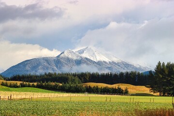 Wall Mural - New Zealand