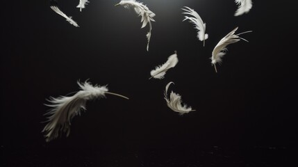  A composition of feathers suspended in mid-air, illuminated from behind by a gentle, glowing light against a stark, black background. This setup creates a sense of weightlessness and grace, capturing