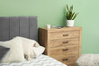 © Pixel-Shot - Wooden chest of drawers with houseplant and magazines near cozy bed in bedroom