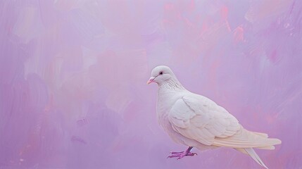 Poster - A serene portrait of a white dove against a soft lilac background, showcasing its purity and grace