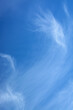 © Antiqva - Background with cirrus white light cloud and blue sky