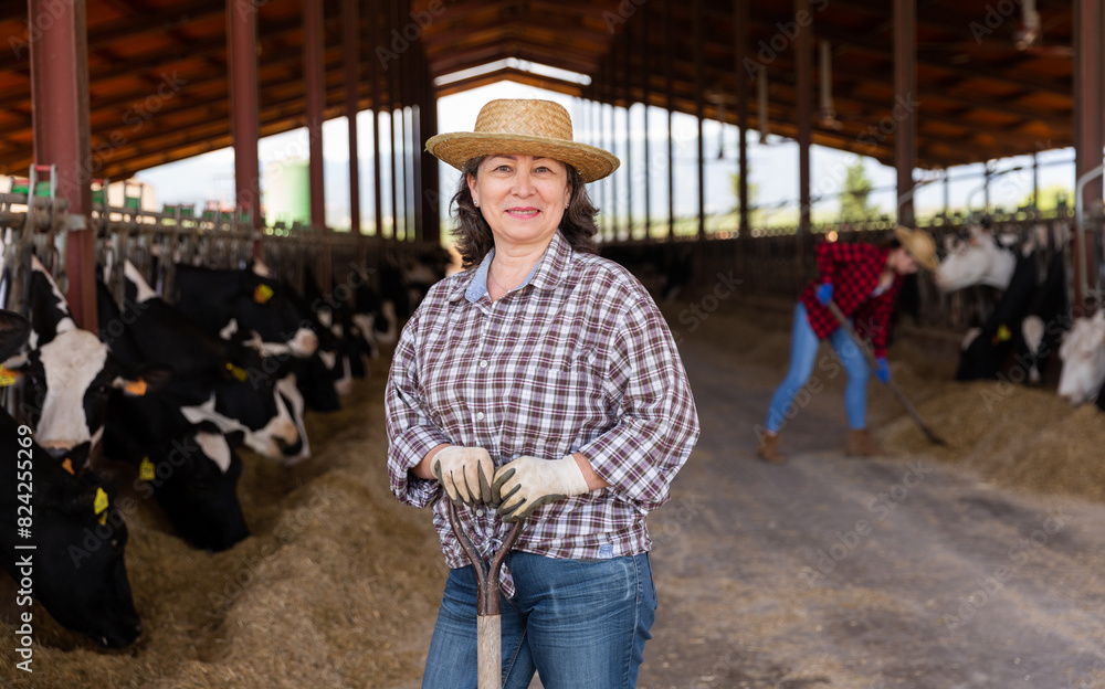 Portrait of mature positive woman farmer working in cowshed at dairy ...