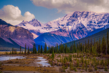 Poster - Sunny Day Icefield Parkway