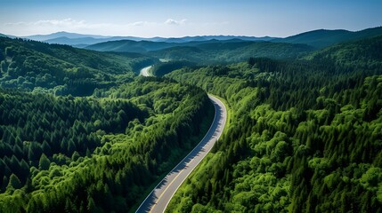 Wall Mural - Aerial view of dense green trees in forest capture CO2 and highway road, illustrating carbon neutrality and net zero emissions concept
