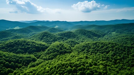 Canvas Print - Aerial view of dense green forest, captured by drone, showcasing CO2 absorption, nature background promoting carbon neutrality and net zero emissions, sustainable green environment concept