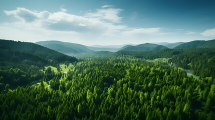 Canvas Print - Aerial view of verdant forest from drone, highlighting CO2 absorption by green trees, symbolizing carbon neutrality and net zero emissions, advocating for a sustainable and eco-friendly environment