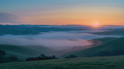 Wall Mural - A panoramic view of rolling hills covered in mist during a calm morning sunrise. 