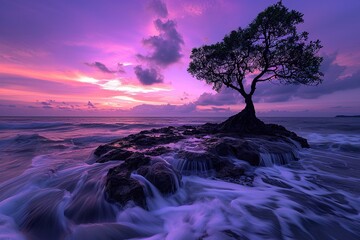 A tree by the seaside, with long exposure photos