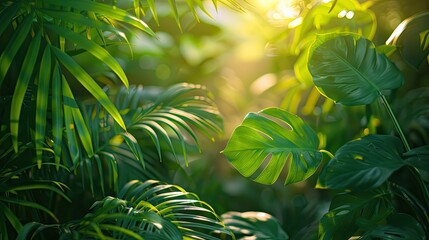 Wall Mural - commercial photo, close-up, garden plants, bottom view, soft light