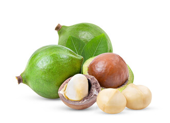 Wall Mural - macadamia nuts with leaf isolated on transparent png