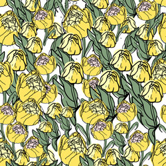 Wall Mural - Seamless pattern of colorful tulips. Drawn, highly realistic, vector, spring flowers for fabric, prints, decorations, invitation cards.