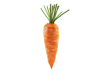 Wall Mural - Carrot vegetable isolated on white back ground